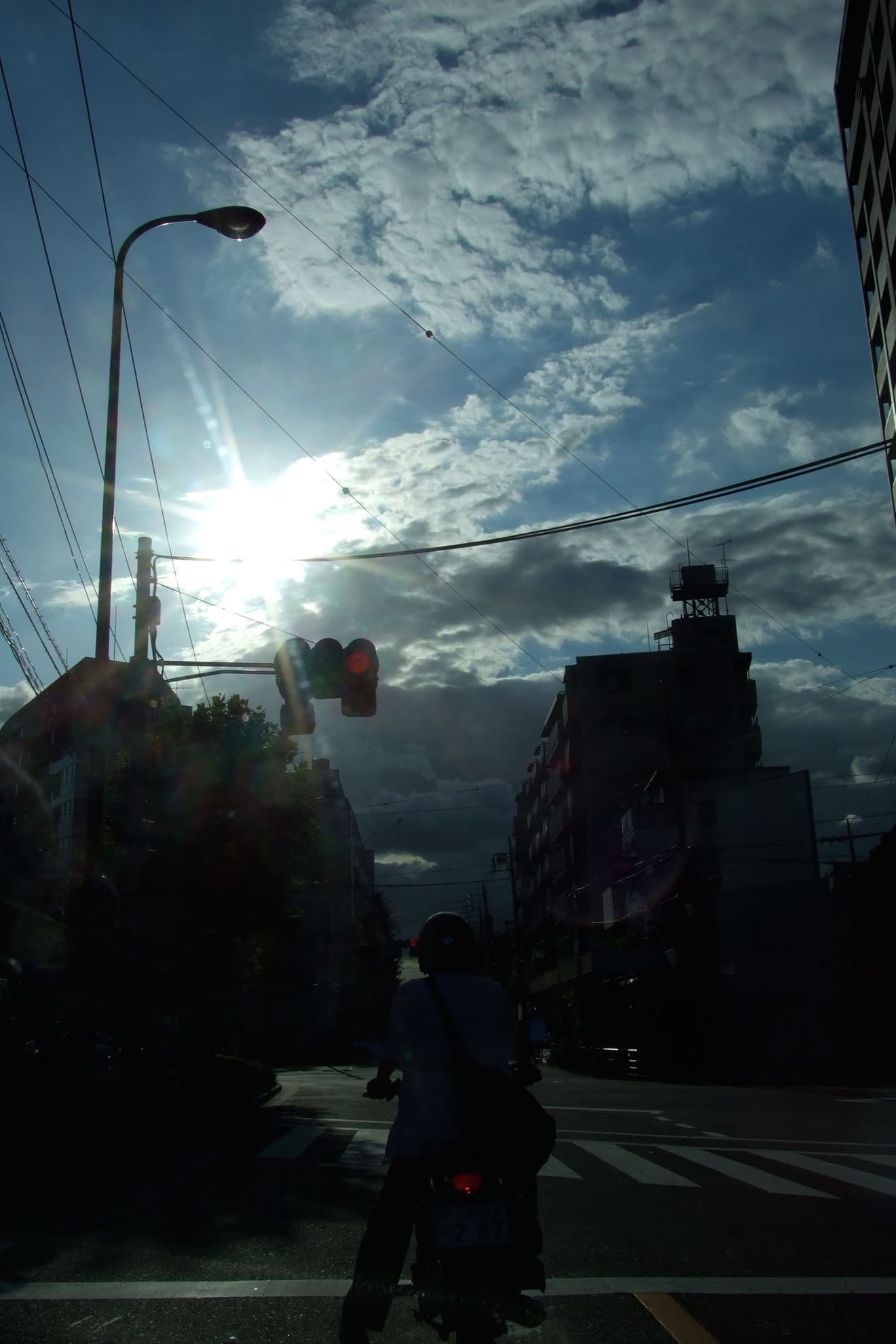 bind_photo_007.jpg